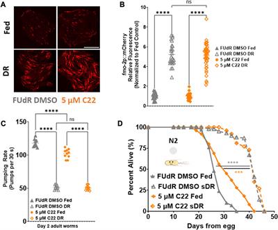 C22 disrupts embryogenesis and extends C. elegans lifespan